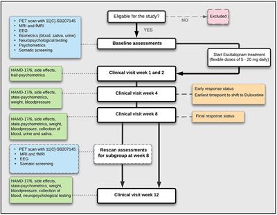 Predicting Treatment Outcome in Major Depressive Disorder Using Serotonin 4 Receptor PET Brain Imaging, Functional MRI, Cognitive-, EEG-Based, and Peripheral Biomarkers: A NeuroPharm Open Label Clinical Trial Protocol